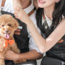 땅콩 애견유치원 이미지