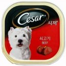 시저