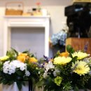 오늘은 특별하개 이미지