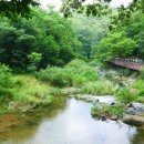 마곡사 주차장1 이미지