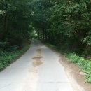 유복립 묘 이미지