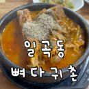 뼈다귀촌 | 광주로컬맛집 뼈추가 할수있는 뼈해장국맛집 일곡동 뼈다귀촌
