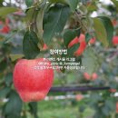 포마이앤젤 이미지