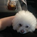 학곡사거리막국수닭갈비 이미지