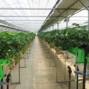 성빈농장 이미지