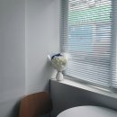 정원본가 이미지