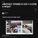 봉담우리애 동물병원 | 봉담24시동물병원 반려동물 교통사고, 내부 손상 여부를 꼭 체크하셔야 합니다.