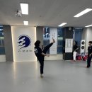 한국체대 남일태권도장 | 수원 성인태권도 찾다가 다녀온 광교 한국체대 준 태권도장 체험기