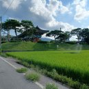 전남드론방제단