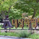 내장산국립공원 내장야영장 이미지