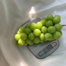 보라농장 이미지