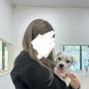 해피멍쓰데이 이미지