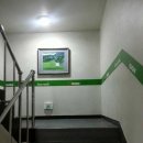 다일락스포렉스 이미지