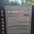 신덕고분군 | 경주여행 포석정에서 살해당한 비운의 왕 신라 경애왕릉과 배동 삼릉과 삼릉솔숲 방문후기