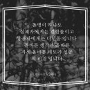 인셀덤하나대리점 - 김해시 | 인셀덤하나대리점