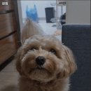 윈짐 이미지
