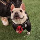 독플래닛 이미지