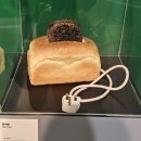 아쿠아토스트 이미지