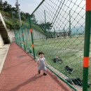 임호체육공원 이미지