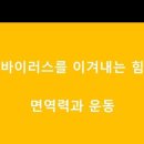 드림점핑클럽 네이버블로그