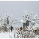 태백산 산행1 이미지