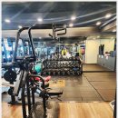 핫플레이스킹덤 이미지