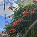 5.18민주인권작은도서관 이미지