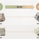레이화 이미지