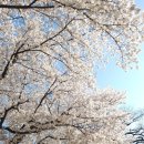 소소한카페 이미지