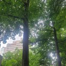 연세약국 | 재신경치료로 치아 살리는 시청역 인근 연세네이쳐치과 (중구 서소문) -시청역 10번출구