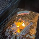 청벽거북 이미지