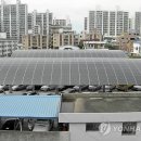 월평태양광발전소 이미지