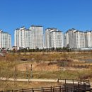 운정호수공원 Daum카페