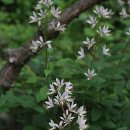 백선농장 이미지