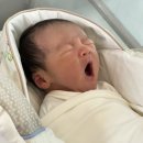 209.서울병원_2 | 대전 서울여성병원 제2산후조리원 후기