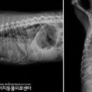 이지24시 이미지