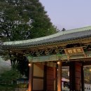비컨홀딩스(주) 중식당 청 압구정 갤러리아명품관점 | [일상 블로그] 우리칠 콘서트 티켓팅 (4/6 보유) ㅠ , ㅠ new nail💘