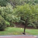 연구단지네거리 이미지