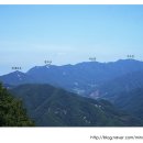 고제입구삼거리 이미지