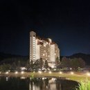 (주)이랜드파크켄싱턴리조트도고 로비라운지 | 평창 켄싱턴 호텔 수영장 호캉스 강원도 평창 리조트 후기