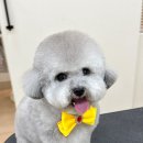포포스페이스
