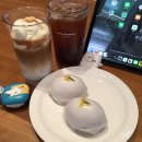 커피명가 티스토리