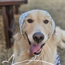 척주로 | 삼척 참치 오마카세[하루] 가성비고퀄맛집/내돈내산/ "하루코스"후기