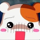 [신경치료 일기] 떼웠던 치아 깨지고 사이에 충치 이슈 / 충치치료 방문기