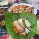 쾌삼 이미지