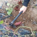 심정농장 이미지