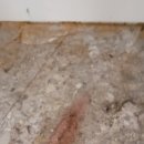 전일맥주 이미지