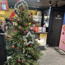 컴포즈커피 강릉솔올점 이미지