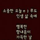 비엔비 이미지