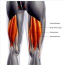 빌드짐 PT 이미지
